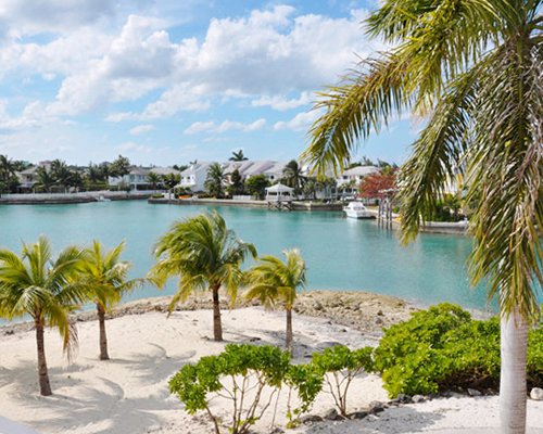 View of the beach with palm trees.