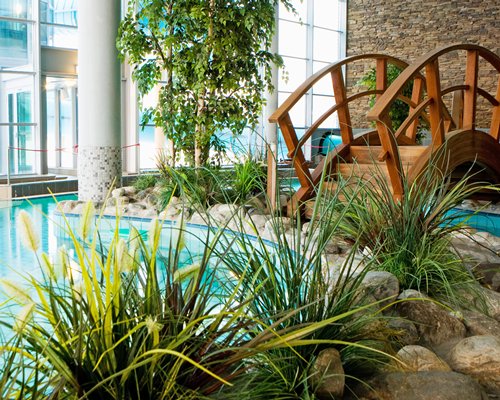 A scenic view of the resort's outdoor swimming pool.