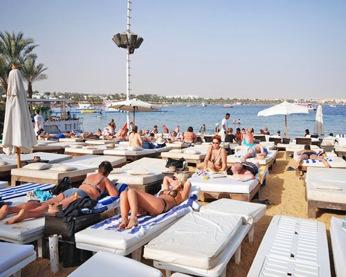 View of people on chaise lounge chairs with sunshades alongside the sea.