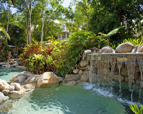 An outdoor grotto pool with trees.