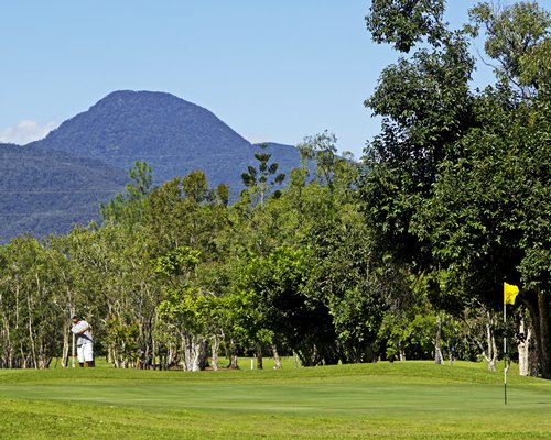 A well maintained golf course with trees.