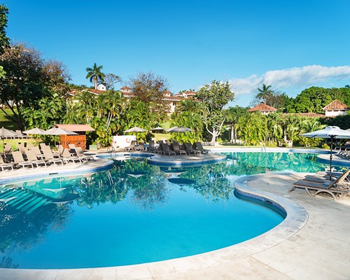 Outdoor swimming pool with chaise lounge chairs.