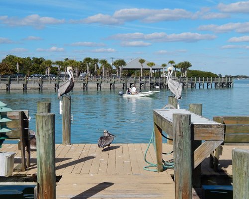 Englewood Beach And Yacht Club