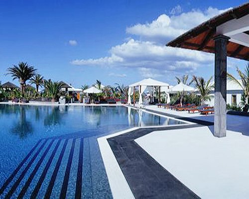 Large outdoor swimming pool with chaise lounge chairs sunshades and palm trees.