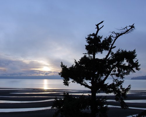 Raintree's Sandcastle at Birch Bay