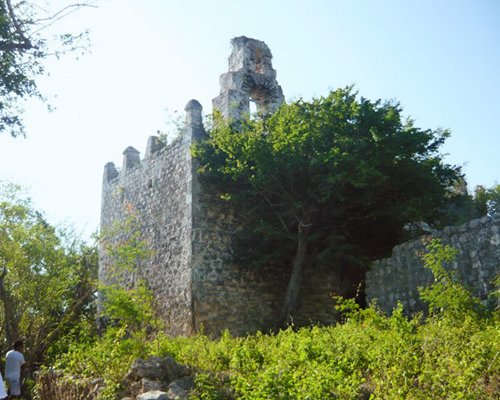 Ground view of the castle surrounded by wooded area.