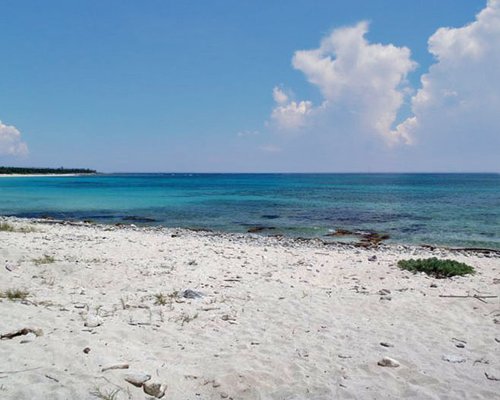 View of the beach from the shore.