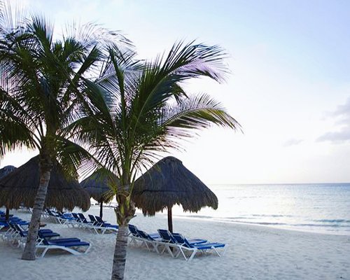 A view of chaise lounge chairs with thatched sunshades facing the beach.