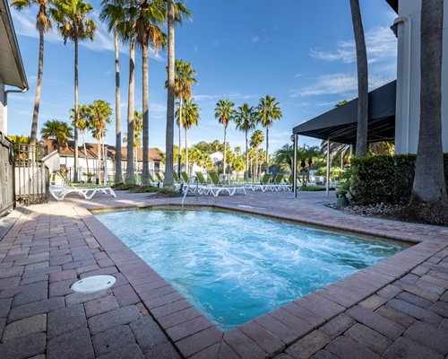 Outdoor swimming pool with chaise lounge chairs and palm trees alongside the unit.