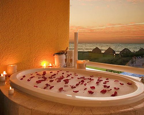 Bathtub with rose petals and outside view.