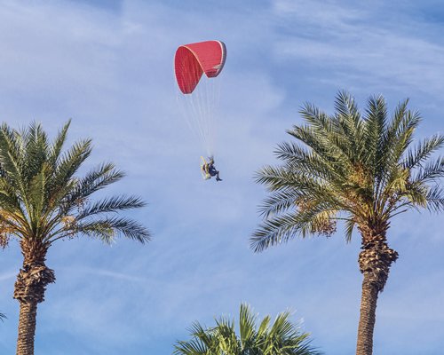 Ground view of a man in the paragliding with pine trees.