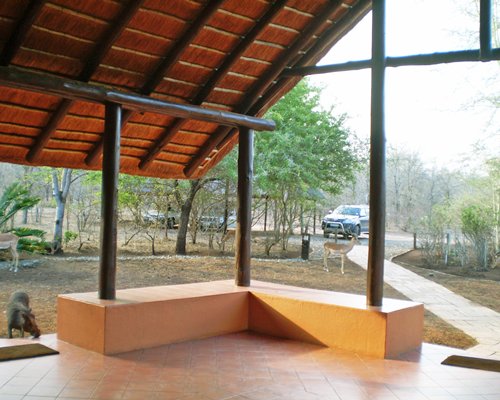 Outdoor picnic with a pathway surrounded by wooded area.