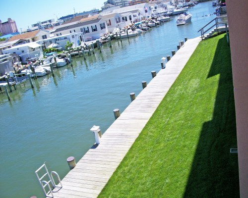 A MARINA ON THE BAY ALONGSIDE RESORT UNITS.