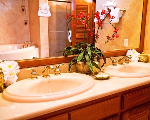 View of double sink vanity.