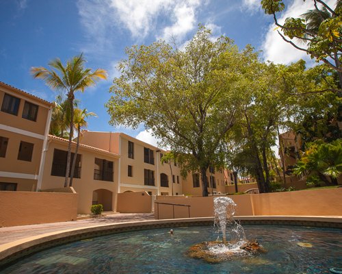 An outdoor swimming pool with chaise lounge chairs and sunshades surrounded by trees.