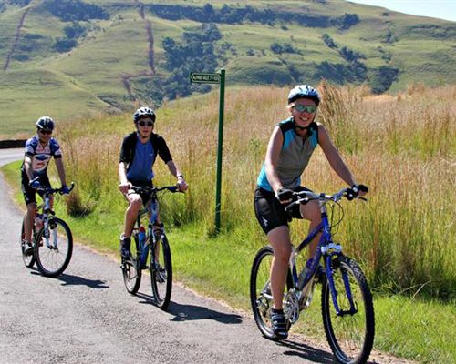 View of people cycling on a pathway.