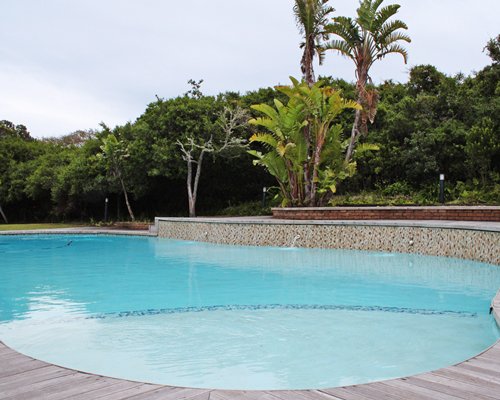 Outdoor swimming pool surrounded by wooded area.