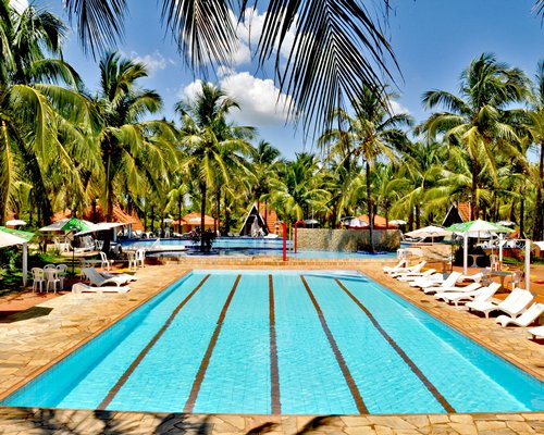 Outdoor swimming pool with chaise lounge chairs and sunshades surrounded by palm trees.