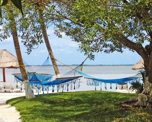 A view of the hammock alongside the beach.