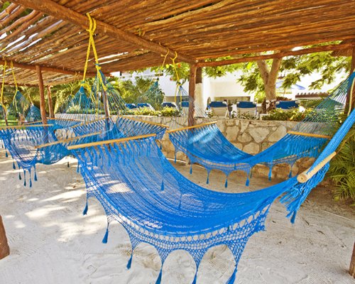View of hammocks with a wooden ceiling.
