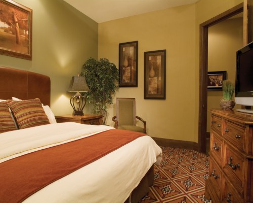 A WELL FURNISHED BEDROOM WITH TELEVISION.