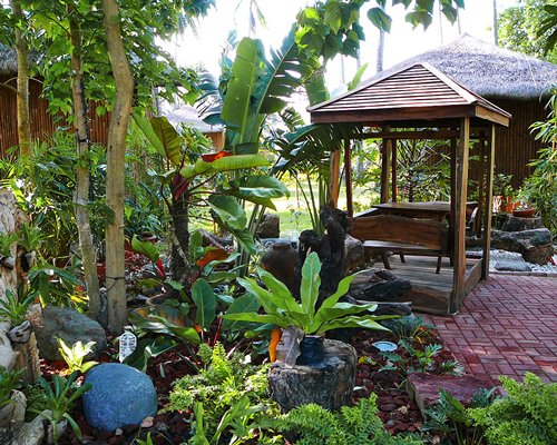 Gazebo surrounded by local vegetation.