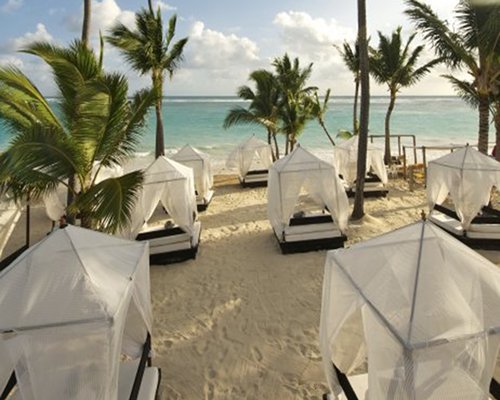 Beach view of the sea with beach beds and palm trees.