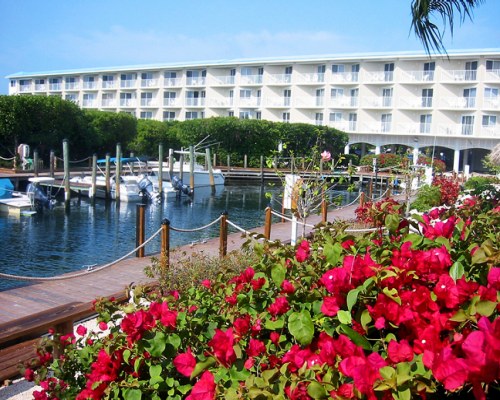 View from the Balcony at Ocean Pointe Suites @ Key Largo