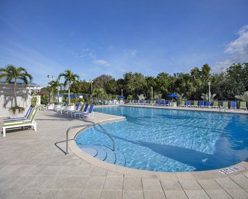 Large outdoor swimming pool with chaise lounge chairs and sunshades alongside the wooded area.