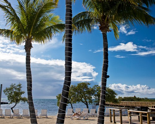 Ocean Pointe Suites @ Key Largo