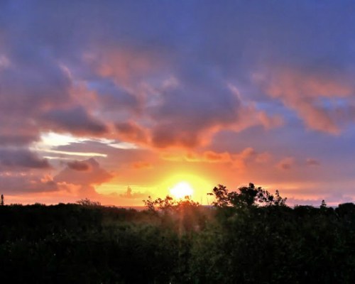 Ocean Pointe Suites @ Key Largo