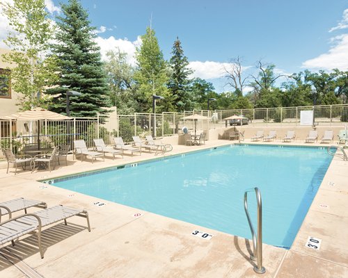 An outdoor swimming pool with chaise lounge chairs and sunshades surrounded by trees.