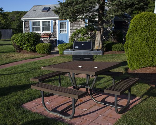 Scenic outdoor picnic area with barbecue grill.