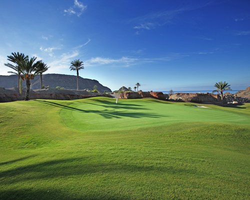 Golf course with palm trees.