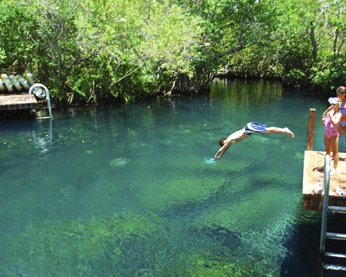 A man diving into the water in a wooded area.