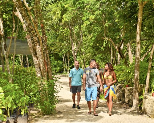 View of people walking on a pathway at a wooded area.