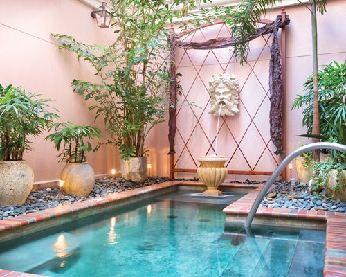 An indoor swimming pool with a water feature and potted plants.
