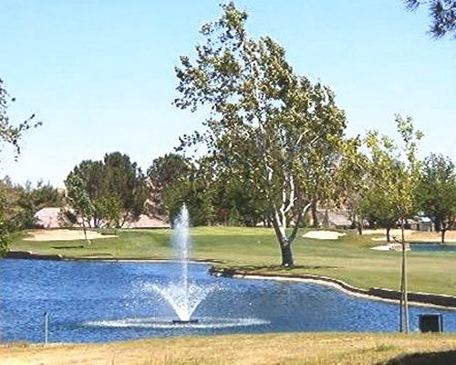 View of the waterfront with a sprinkler and trees.