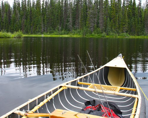 A canoe in the lake.
