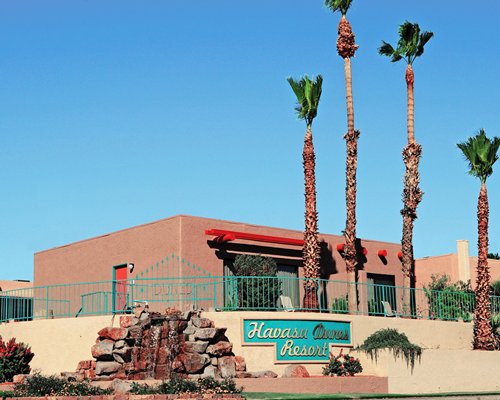 An exterior view of resort unit with palm trees.