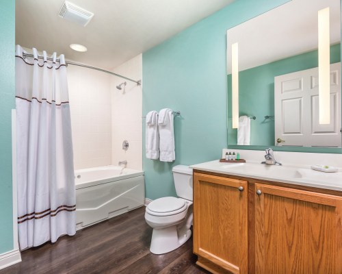 A BATHROOM WITH A BATHTUB SHOWER AND SINGLE SINK VANITY.