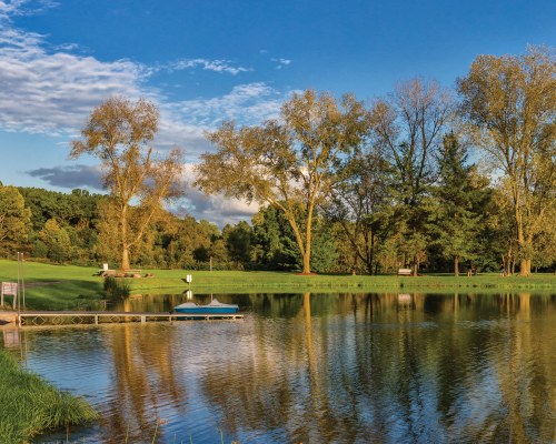 VIEW OF THE LAKE SURROUNDED BY TREES.