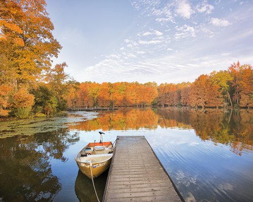 A wooden pier and boat at the lake surrounded by wooded area.