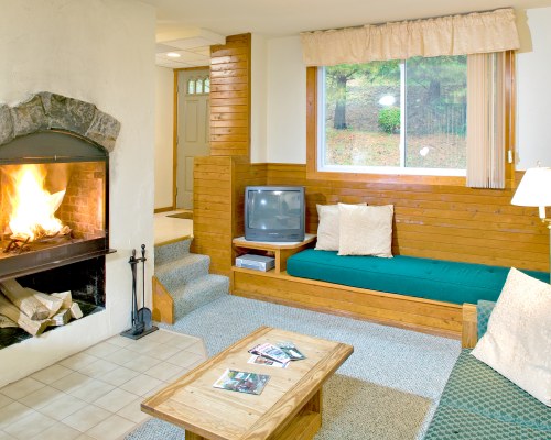 A WELL FURNISHED LIVING ROOM WITH TELEVISION AND FIRE IN THE FIREPLACE.