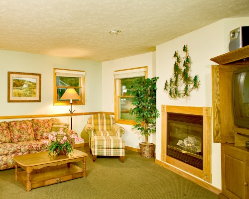 A WELL FURNISHED LIVING ROOM WITH A TELEVISION SOFAS AND A FIREPLACE.