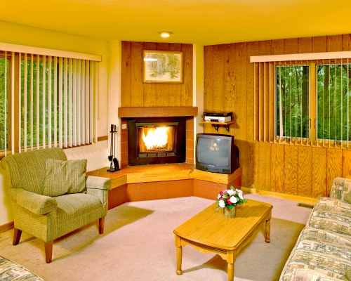 A WELL FURNISHED LIVING ROOM WITH A TELEVISION FIRE IN THE FIREPLACE AND OUTSIDE VIEW.