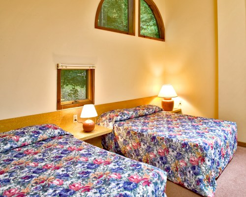 A WELL FURNISHED BEDROOM WITH TWO KING BEDS.