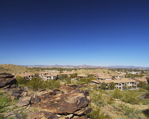 Raintree's Desert Arroyo Phoenix