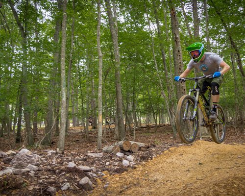 Regal Vistas at Massanutten