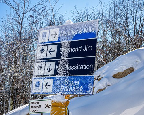Regal Vistas at Massanutten